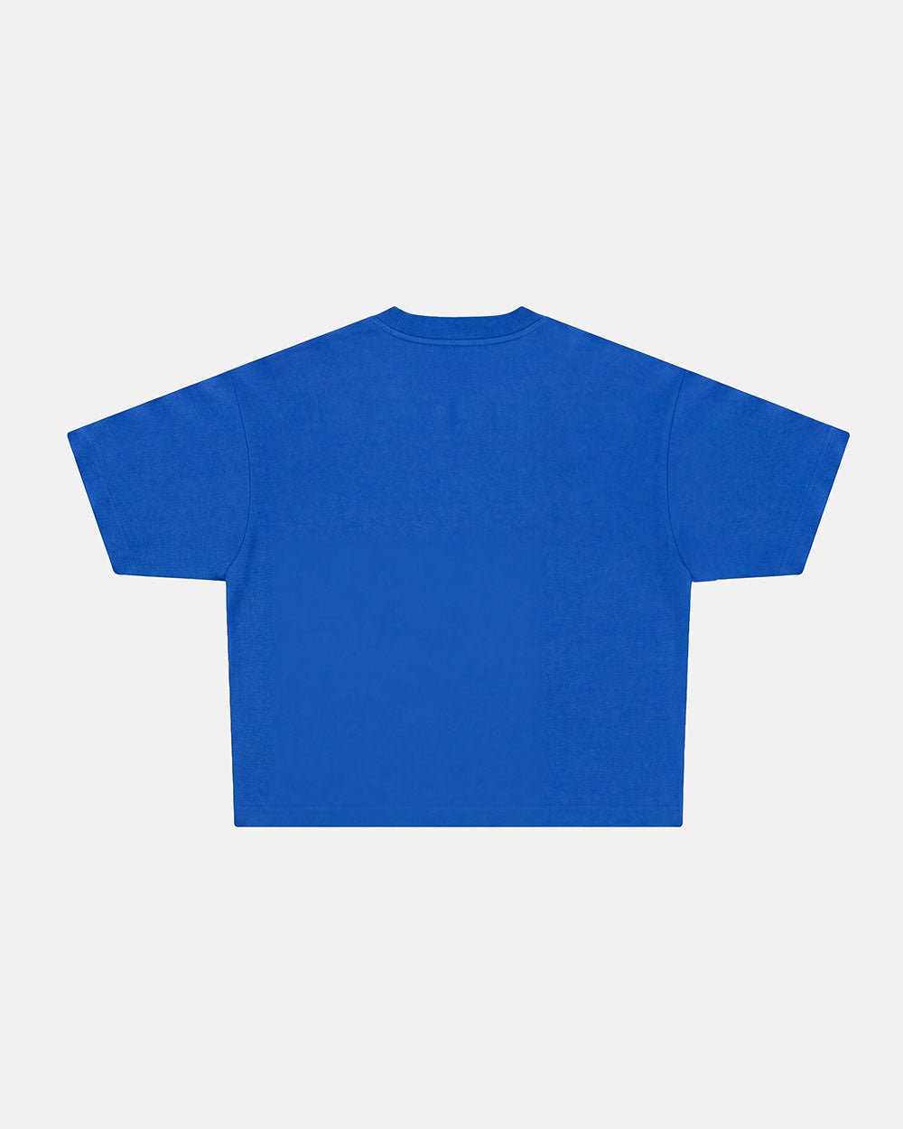 OOPS! TEE BLUE